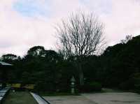 静寂と四季が彩る癒しの空間🌿⛲