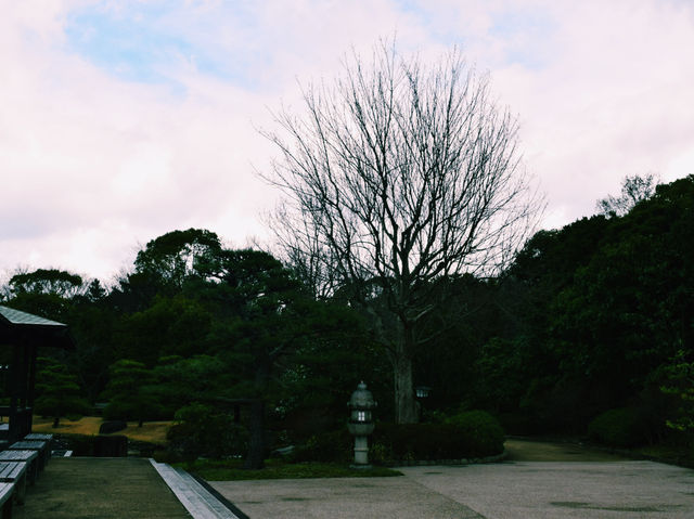 静寂と四季が彩る癒しの空間🌿⛲