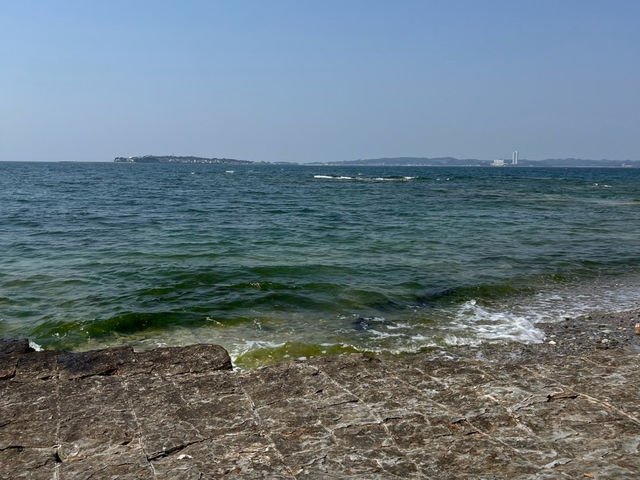 【アートと自然が融合する離島！「佐久島」でのんびり島旅🌊🎨】