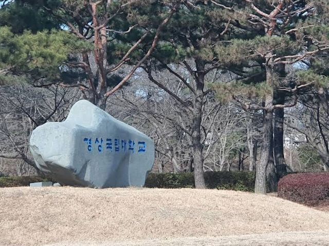 Gyeongsang National University – Campus Blooms Done Right