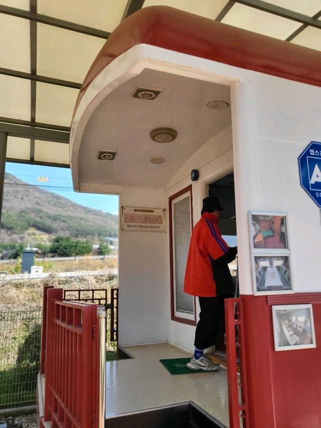 조용하게 벚꽃산책하기좋은 청도 신거역 폐역