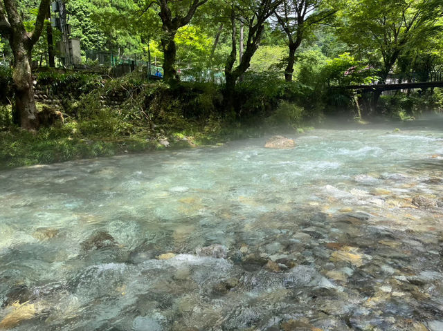 岐阜県板取川で自然の美しさとおいしい食を楽しむ旅🌊🍴