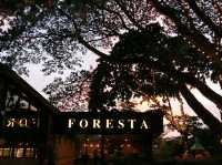 ร้านอาหารสุดชิล Foresta Bangsean 