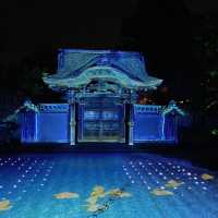 Kodaiji's Spring Illumination Night Show