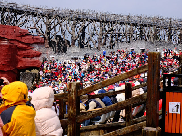 ชมโชว์ Impression of Lijiang