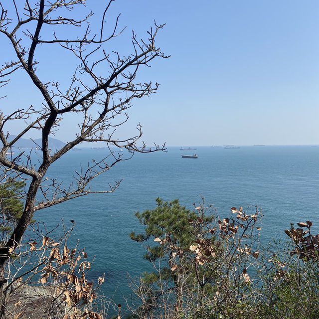 松島空中纜車×海景步道｜貓咪陪你散步的療癒系公園