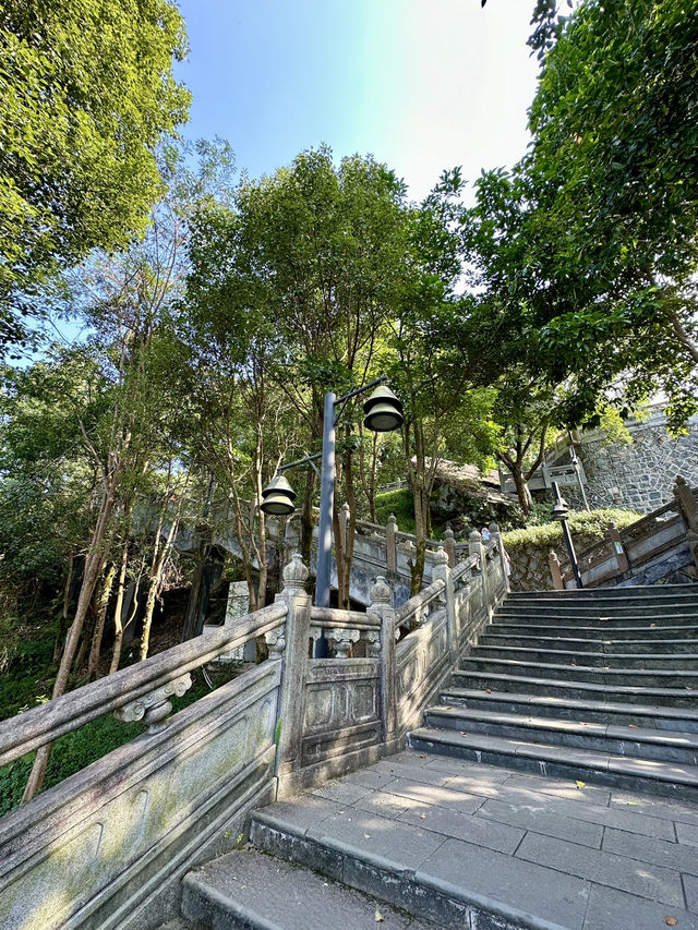 Where the Mist Meets the Divine: Qingshuiyan Temple's Mountain Mirage