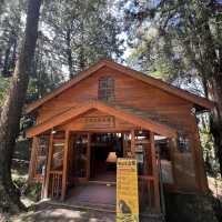 阿里山博物館區 Alishan Museum Area