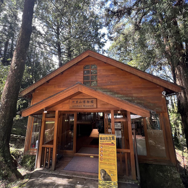 阿里山博物館區 Alishan Museum Area