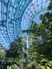 親近自然和學習生態知識的植物園