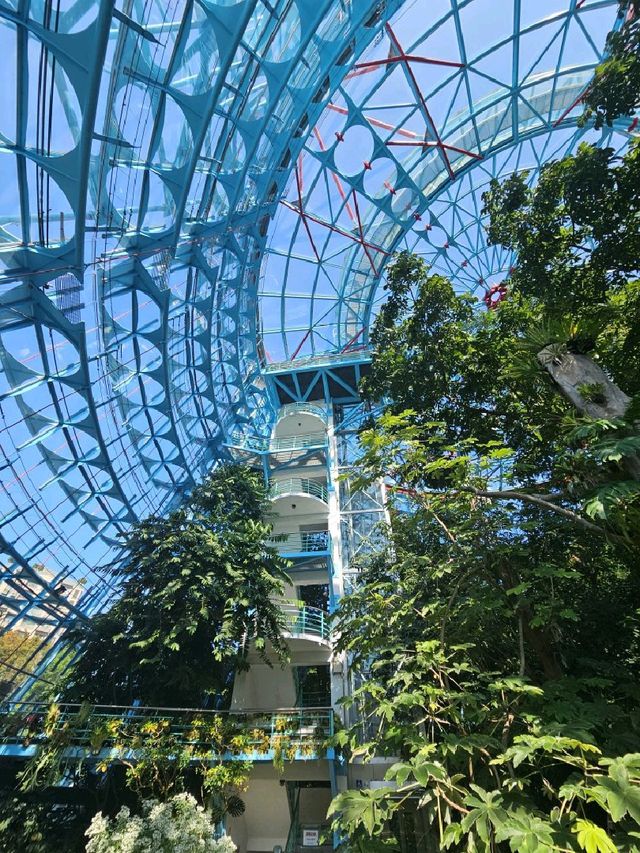 親近自然和學習生態知識的植物園