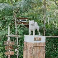 คาเฟ่ฟิลเหมือนไป​ญี่ปุ่น​ 🎎🎏