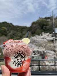 大自然に囲まれたジェラート屋さん