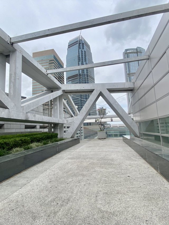 觸摸這座城市的心臟🫀✨中環IFC 商場天台花園✨🌹
