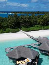 🌞 Another Day in Paradise – Maldives Bliss Continues! 🐬🍍