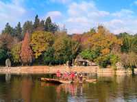 Stone Forest: A Geological Marvel in Yunnan