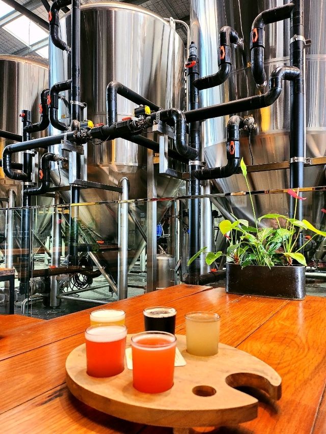 🇦🇺 Famous Brewery in Byron Bay, Australia