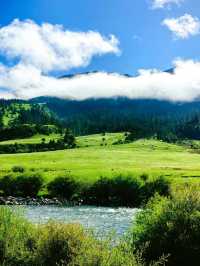 Yuke Grassland – A Hidden Paradise in Sichuan! 🏔️