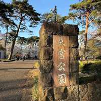 Omiya Park, Saitama