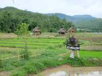 สะพานไม้ไผ่บ้านแพมบก (โขกู้โส่) 🌳