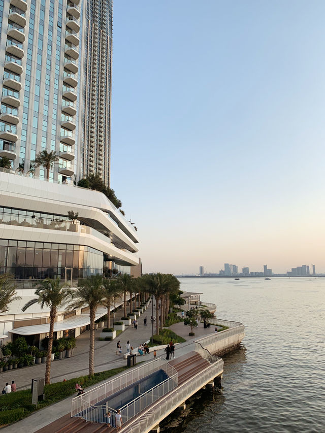 Skyline in Bloom: Dubai’s Dreamiest Sunset Spot