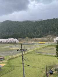 หมู่บ้านคายาบุกิโนะซาโตะ (Miyama Kayabuki no Sato)