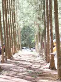 ราชบุรี One Day Trip สไตล์คันทรี่ ชิลล์ริมน้ำ