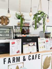 Nordic farm&cafe 🍵🍵