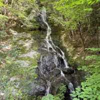 【局ヶ岳】⛰️ まつさかイレブン