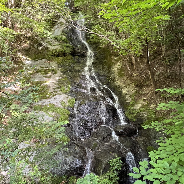 【局ヶ岳】⛰️ まつさかイレブン