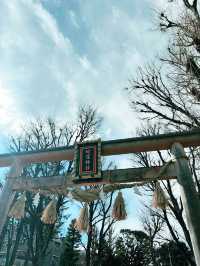 【東京⛩️蛇窪神社】巳年🐍巳の日に訪れたい‼️パワースポット