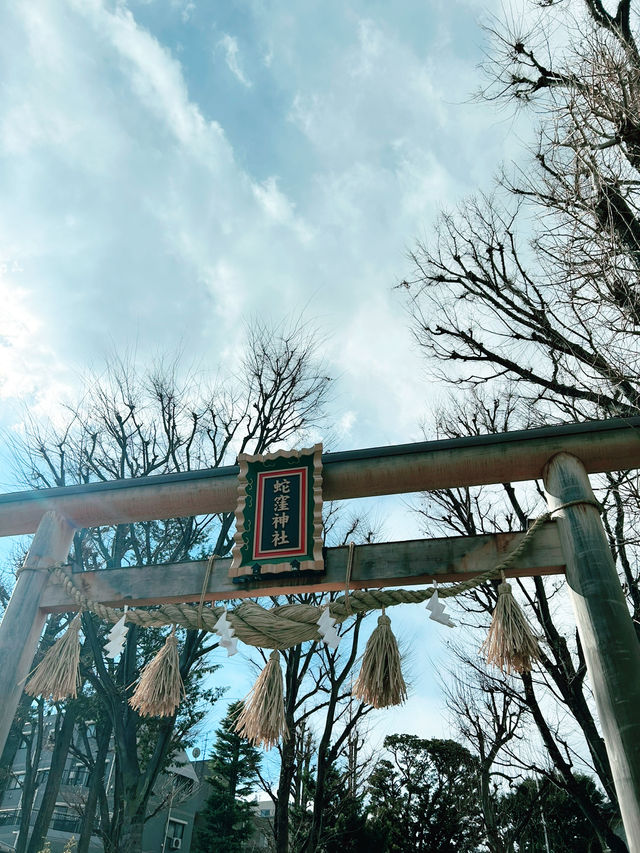 【東京⛩️蛇窪神社】巳年🐍巳の日に訪れたい‼️パワースポット