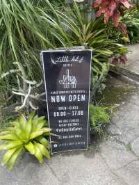 คาเฟ่เต่า Little Art Coffee @ทุ่งสง นครศรี