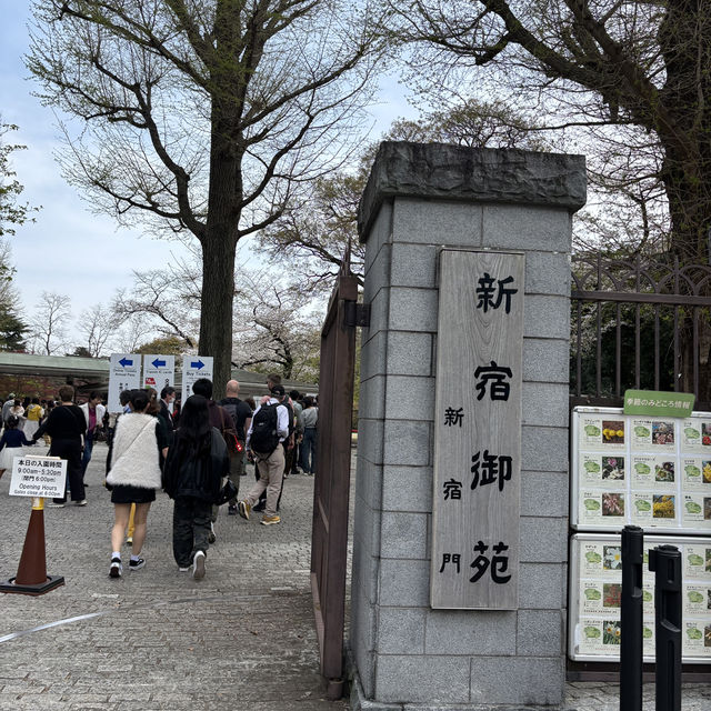 【都会のオアシス】東京 新宿 新宿御苑 季節ごとに異なる鮮やかな景色が楽しめる公園