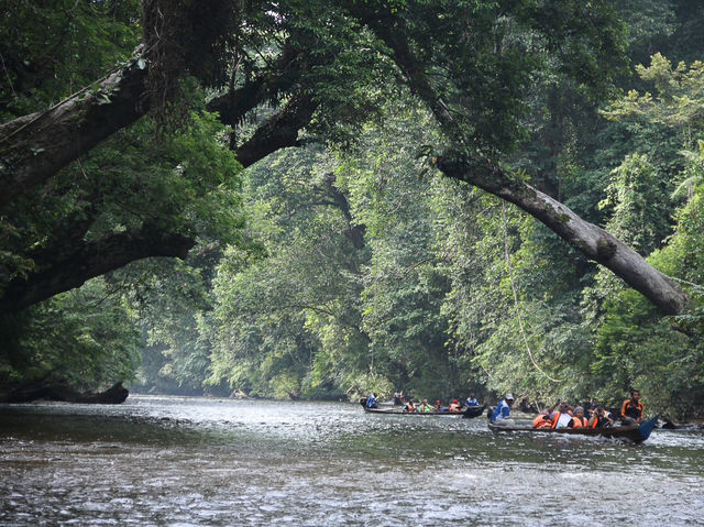 🌿🚤 Taman Negara River Cruise Review: A Jungle Adventure!