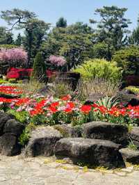 A Blooming Scenery at Byukchoji Gardens