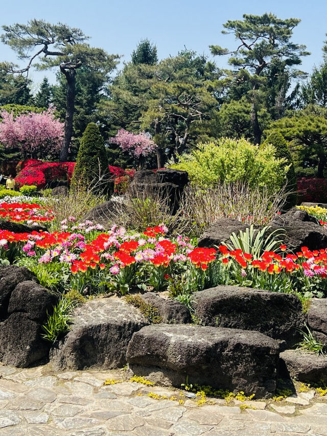 A Blooming Scenery at Byukchoji Gardens