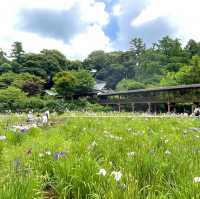 【千葉】北の鎌倉と呼ばれる「本土寺」菖蒲、紫陽花の名所