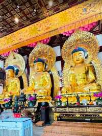 Temple of the Six Banyan Trees หรือ วัดหกต้นไทร