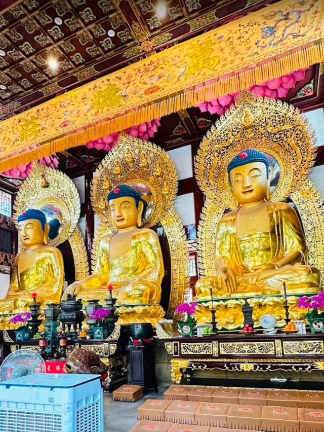 Temple of the Six Banyan Trees หรือ วัดหกต้นไทร