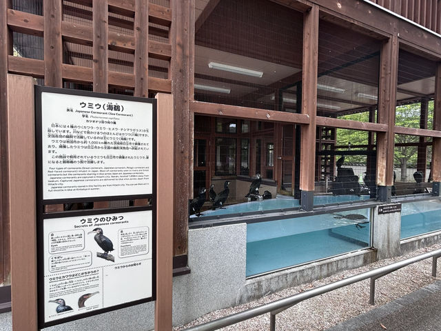 【日本三名橋、その真ん中へ】錦帯橋　山口