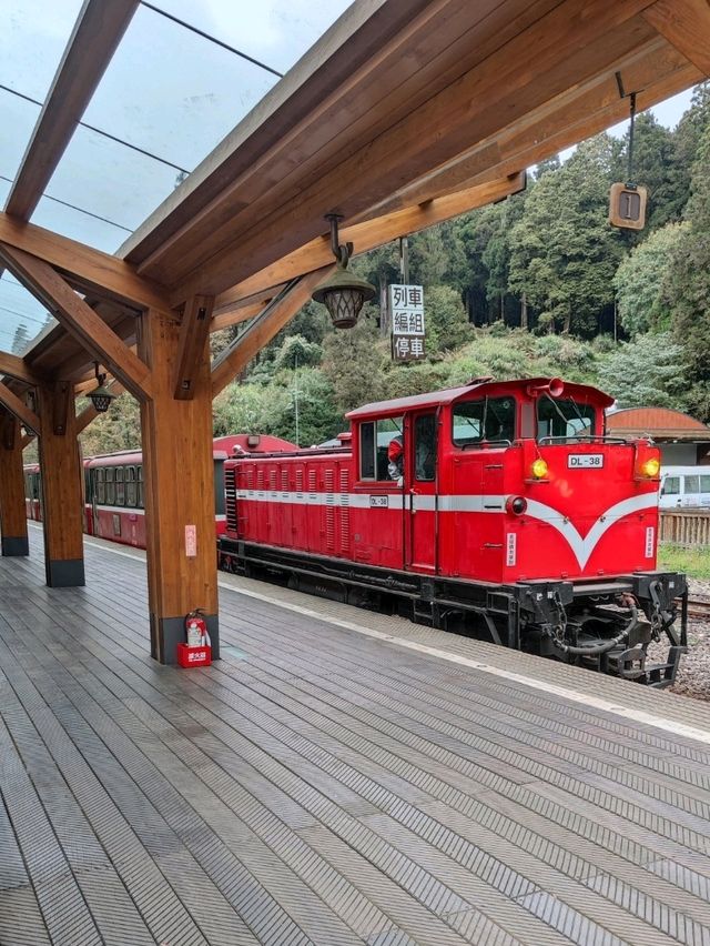 # 阿里山車站-嘉義縣阿里山鄉