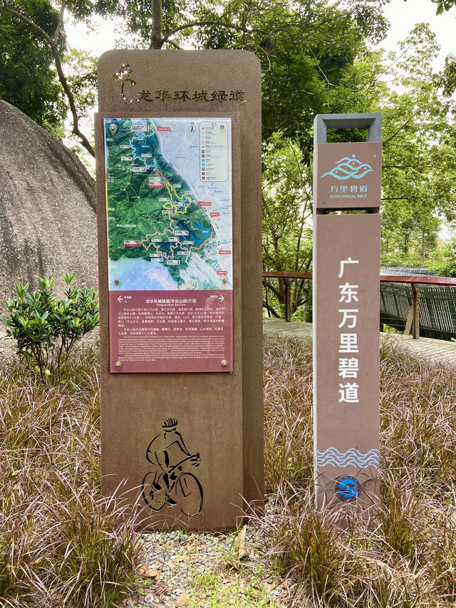 城市中的⛰️陽台山森林公園✨體驗自然風光行程推薦🏞️ 