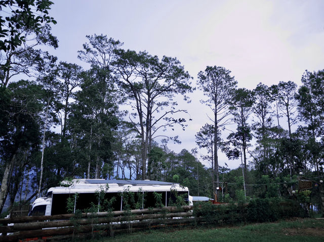 Tall Pines & Fresh Air – Kirirom National Park, Cambodia