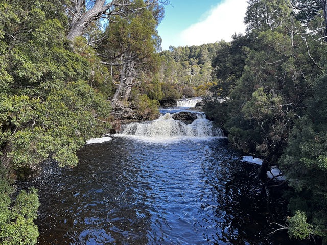 Discover the scenic view & wombats sightings at Cradle Mountain Ronny Creek walk