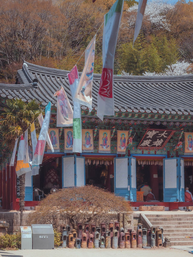 도착하자마자 우울한 마음이 샤르르 녹아드는 여행지“ 대흥사”
