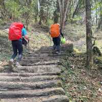 Trekking Mardi Himal in Nepal 🇳🇵 