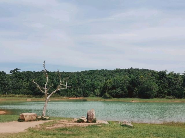 เที่ยวเขาใหญ่