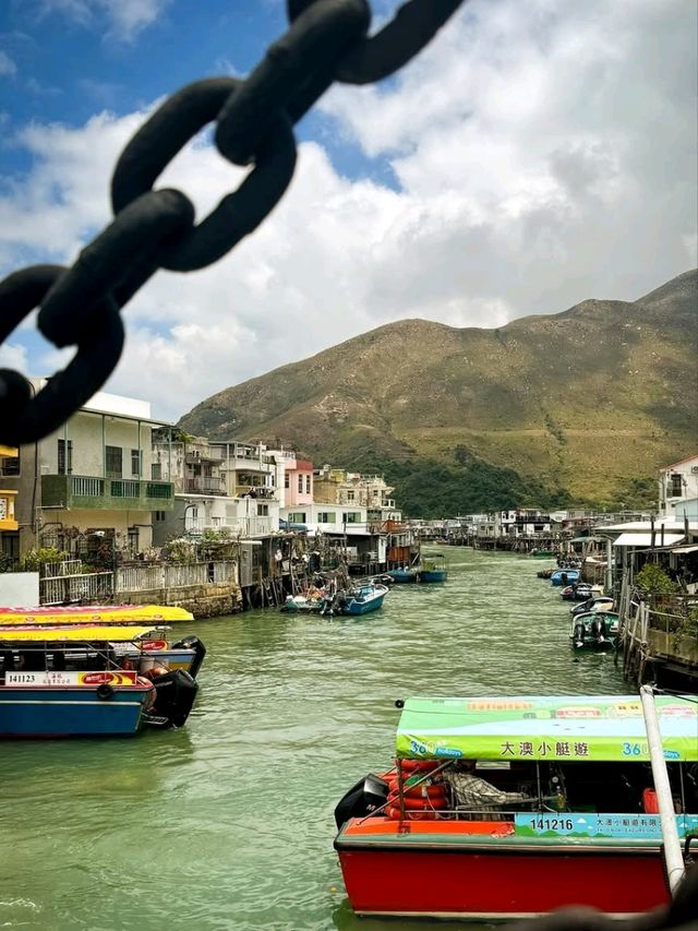 🎣🐟 A Day in Tai O: Hong Kong’s Hidden Fishing Paradise! 🛶🌊
