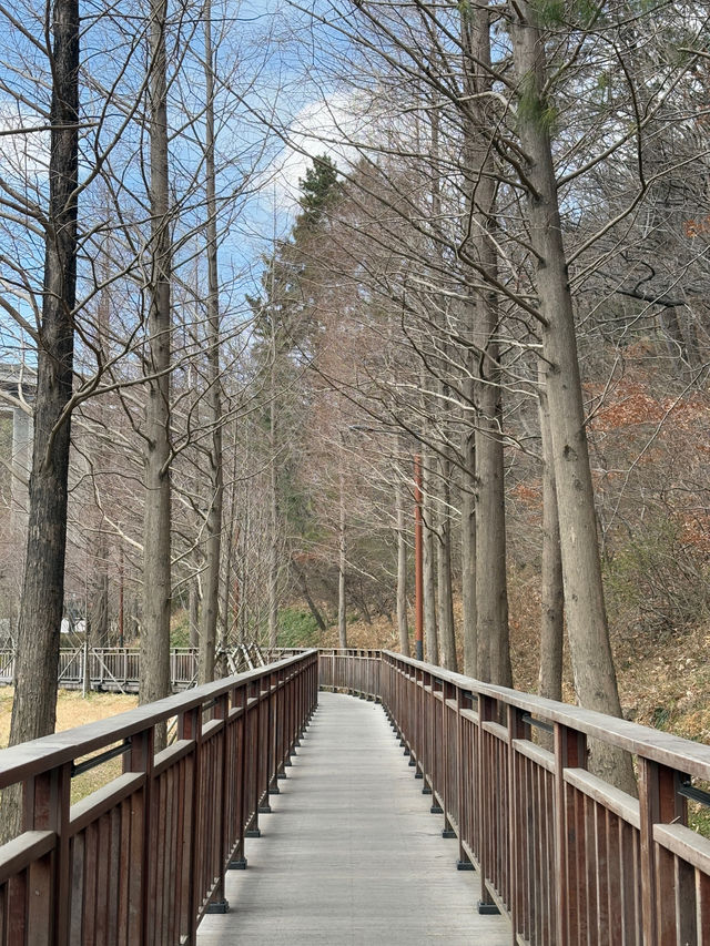 부산 기장여행 나들이 산책하기 좋은 용소웰빙공원